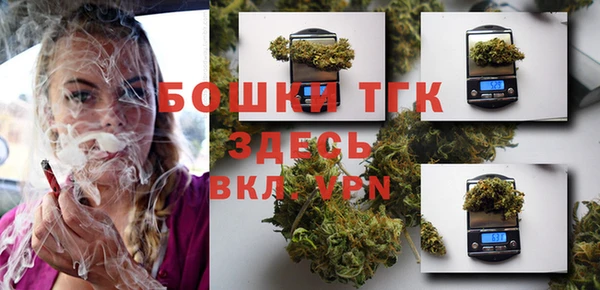 СК Саяногорск