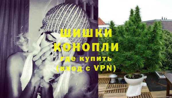 СК Саяногорск